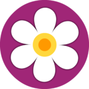 FlashGirlGames.com logo
